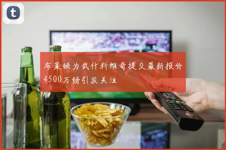 布莱顿为武什科维奇提交最新报价4500万镑引发关注