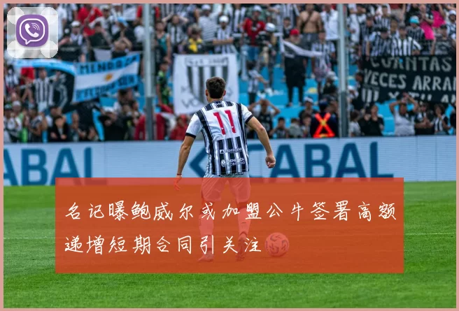 名记曝鲍威尔或加盟公牛签署高额递增短期合同引关注